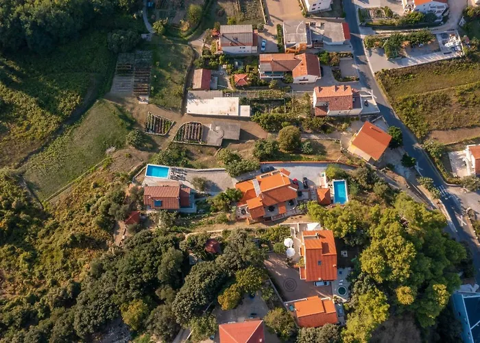 Sandra סופטרסקה דראגה