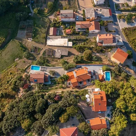 Sandra Supetarska Draga